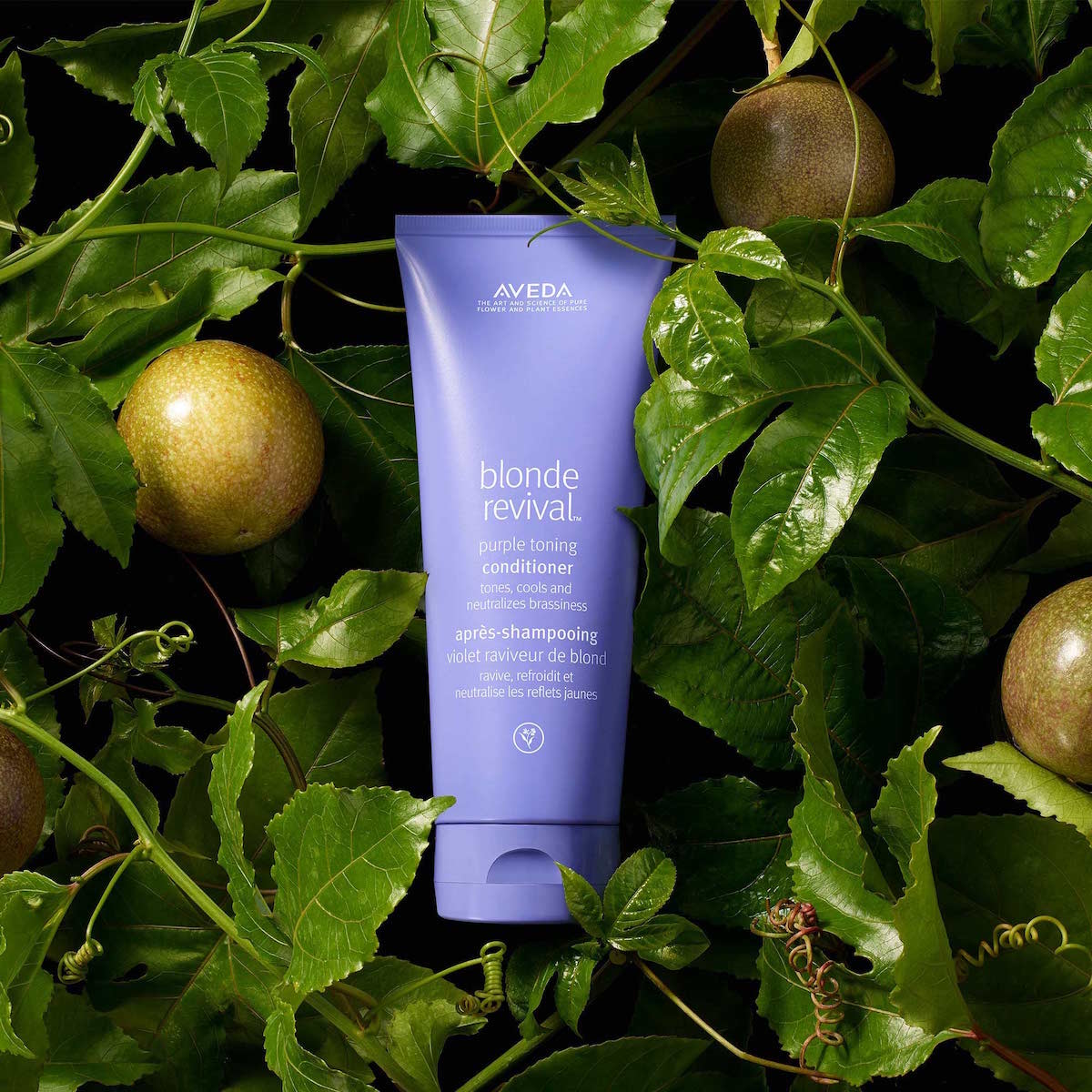 BLONDE REVIVAL CONDITIONER (ACONDICIONADOR)